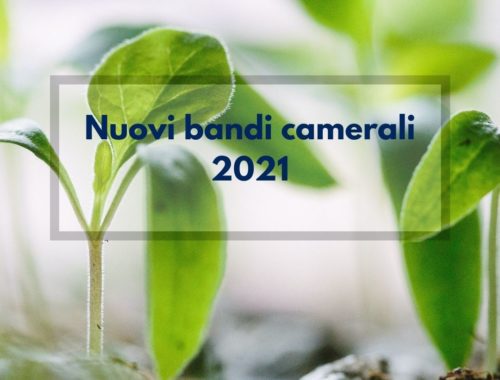 Bandi CCIAA 2021